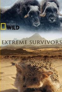 National Geographic. Выжить несмотря ни на что